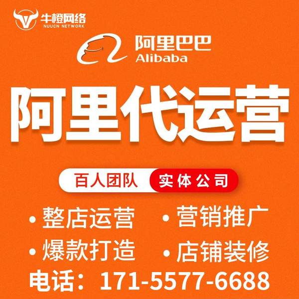 天长电商代运营