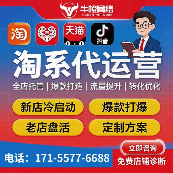 天长电商代运营