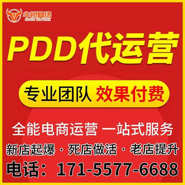 天长电商代运营