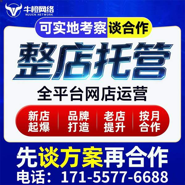 天长电商代运营