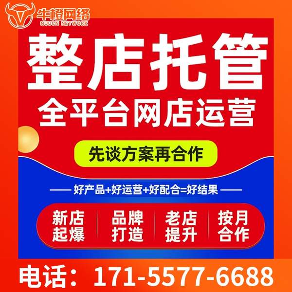 天长电商代运营