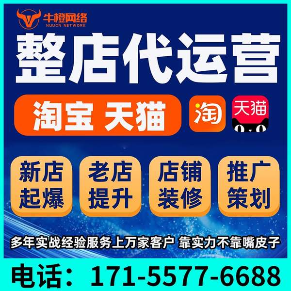 天长电商代运营