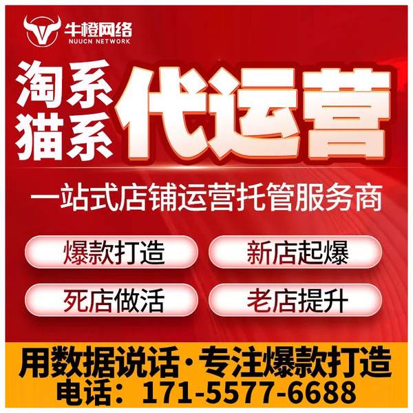 天长电商代运营